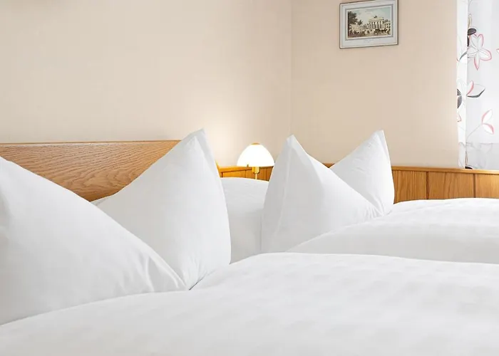 Hotell Gaestehaus Prinzregent Luitpold Bad Steben